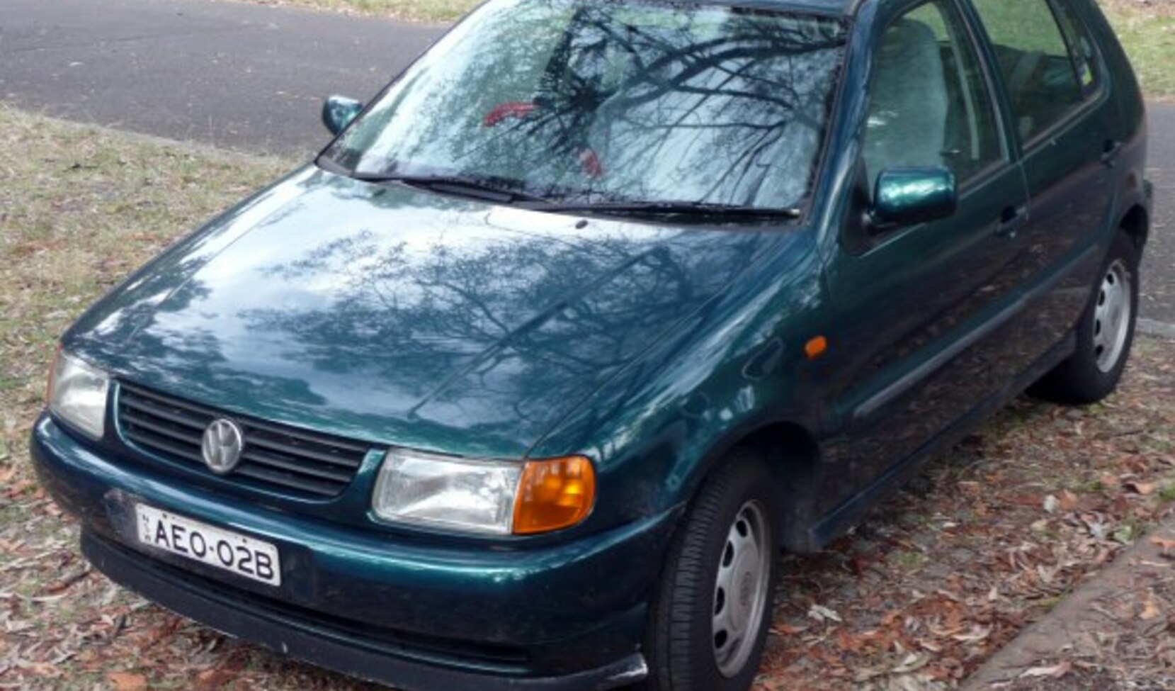 Volkswagen Polo III (6N/6KV) 1.3 (55 Hp) 1994, 1995 