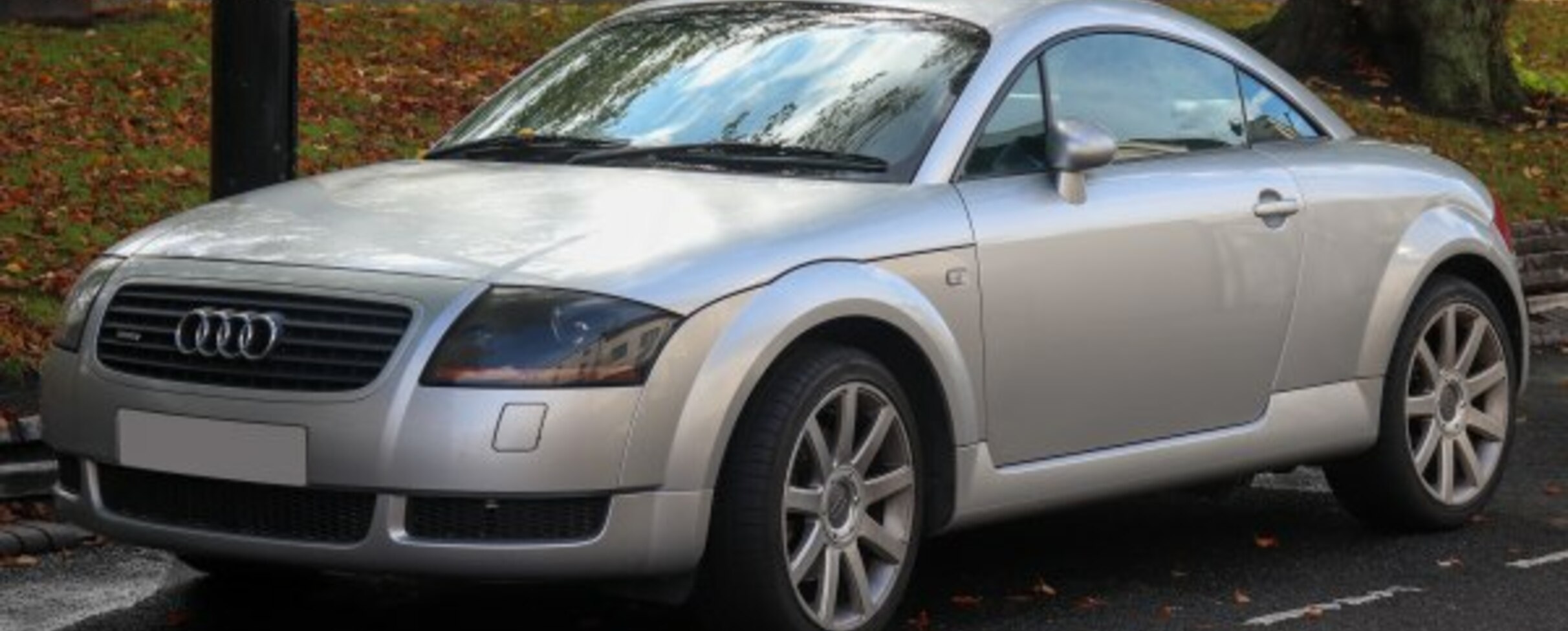 Audi TT Coupe (8N) 1.8 T (180 Hp) 1998, 1999, 2000 