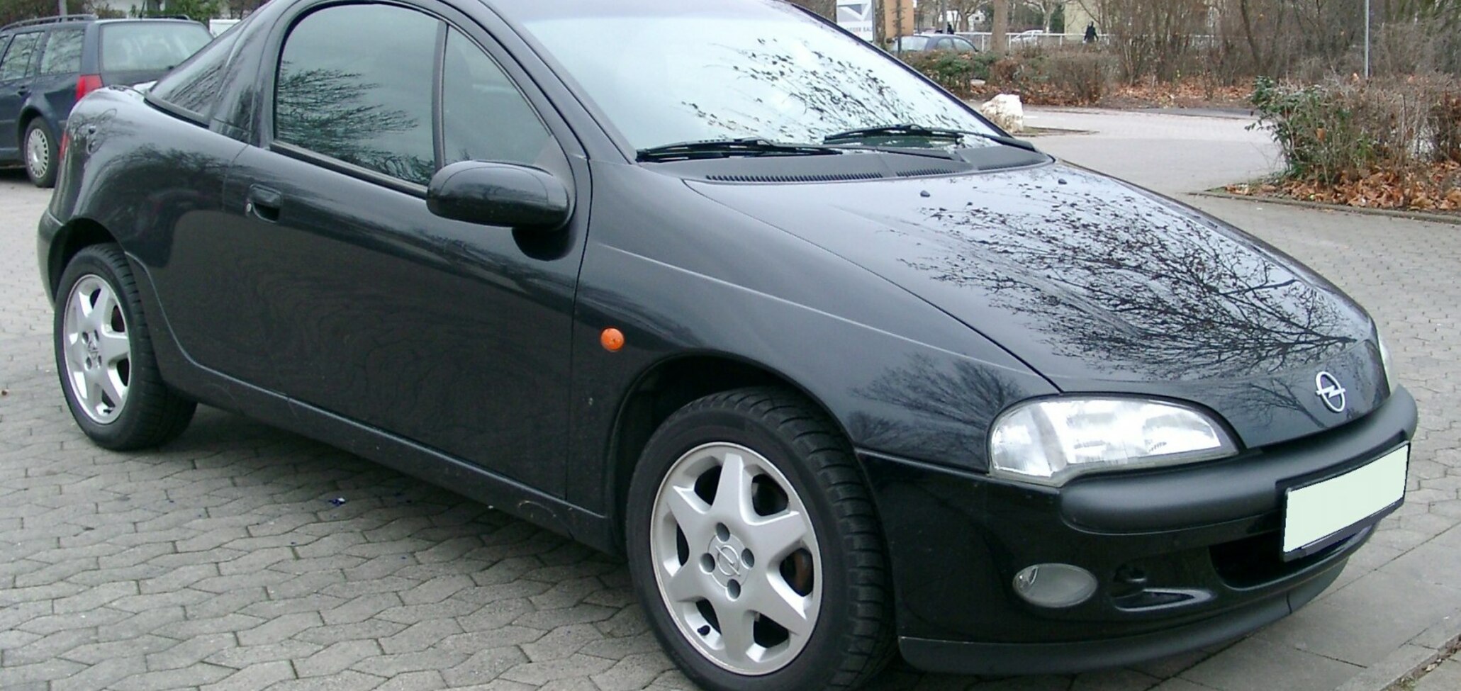 Opel Tigra A 1.4 16V (90 Hp) 1994, 1995, 1996, 1997, 1998, 1999, 2000, 2001 