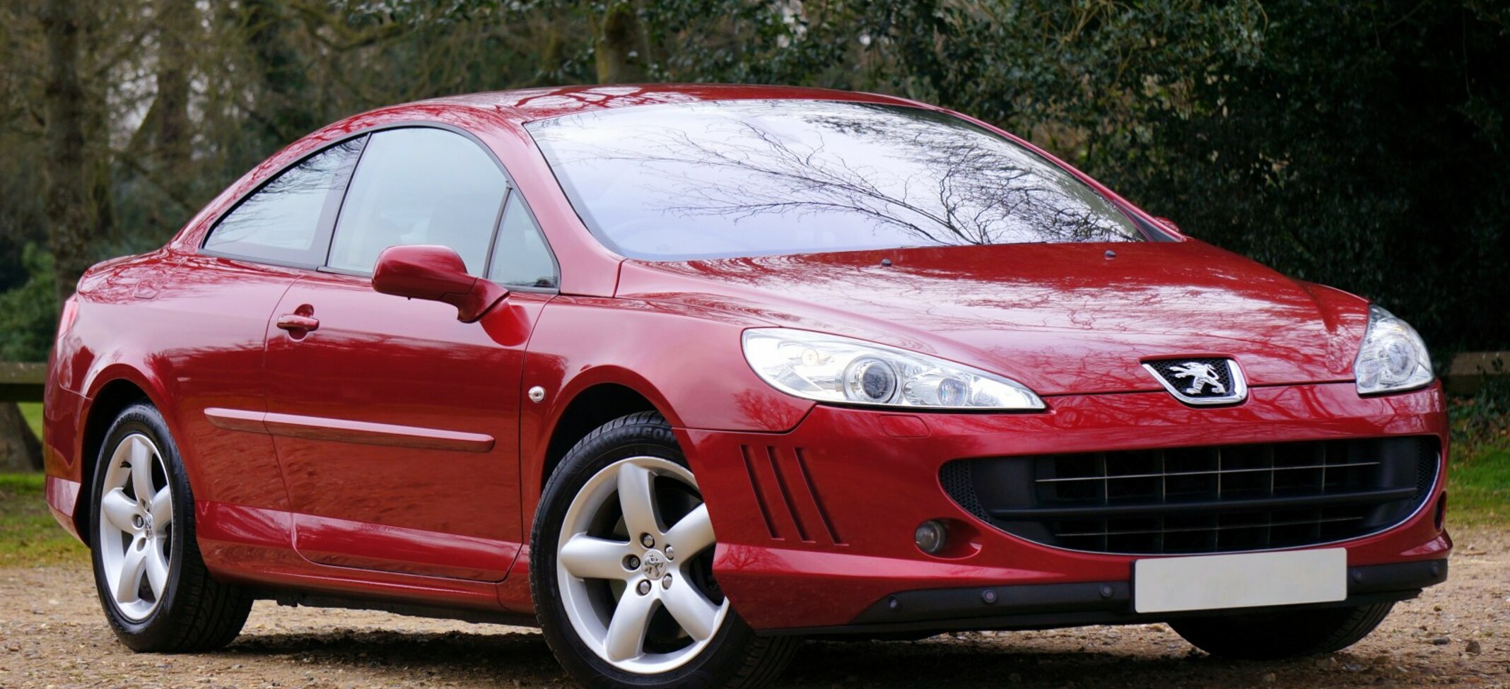 Peugeot 407 Coupe 2.7 V6 24V HDi (205 Hp) 2005, 2006, 2007, 2008 