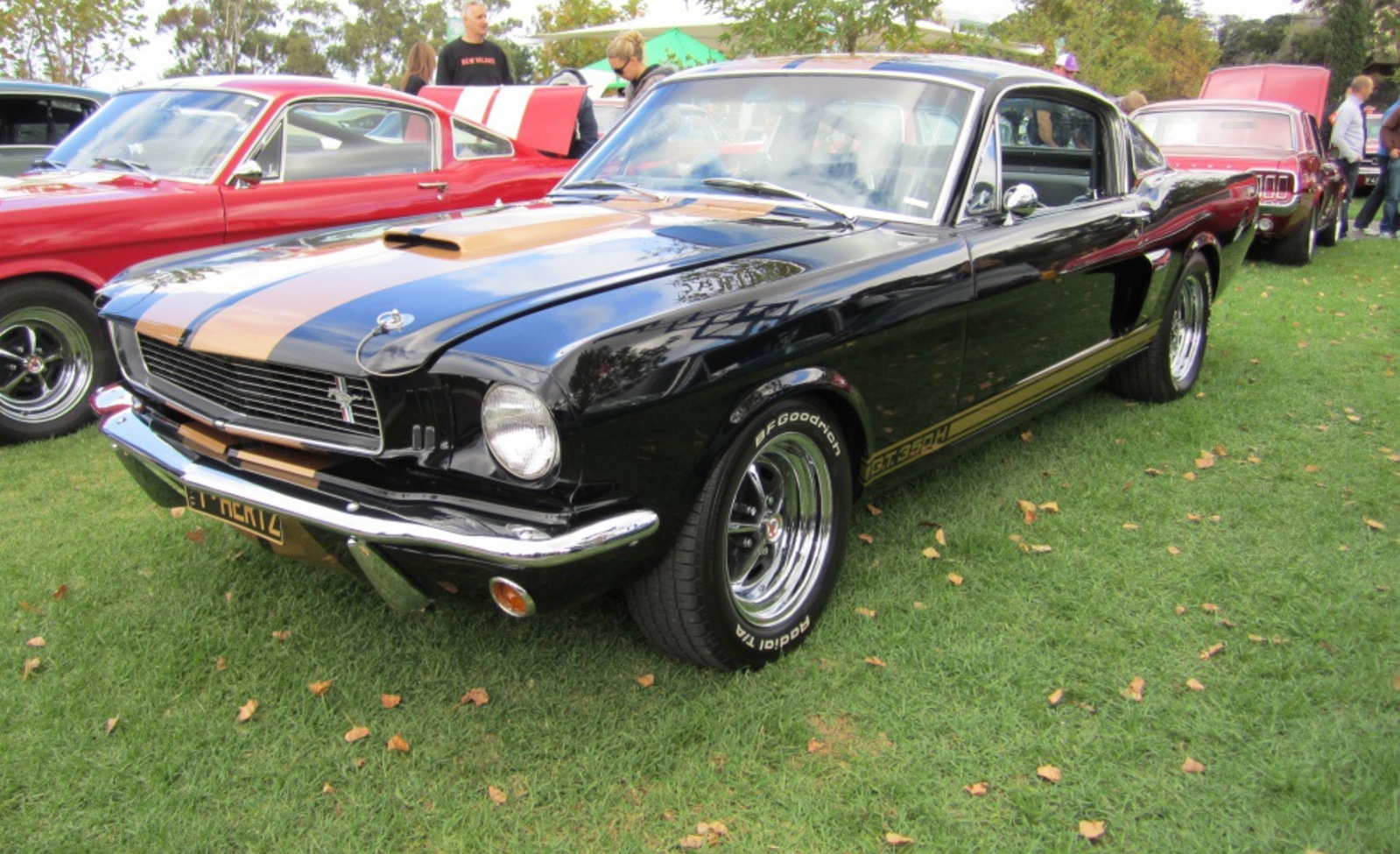 Ford Shelby I GT 500 7.0 V8 (340 Hp) 1969, 1970 