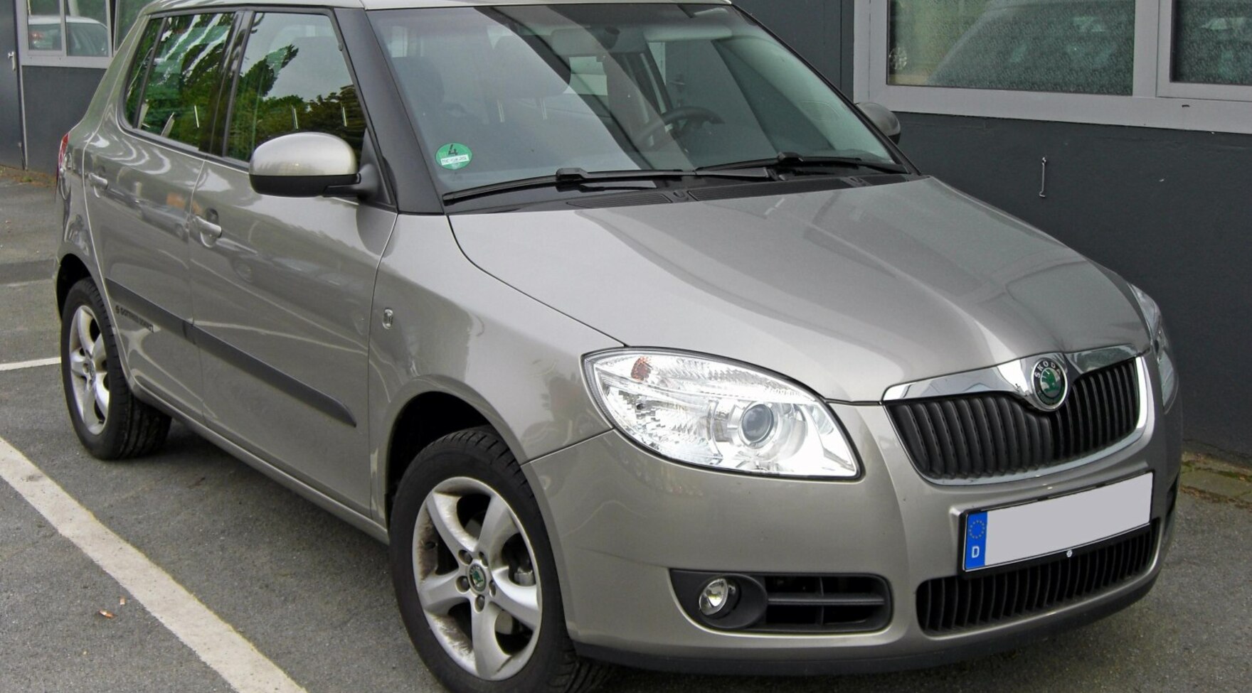 Skoda Fabia II 1.9 TDI (105 Hp) DPF 2007, 2008, 2009, 2010 