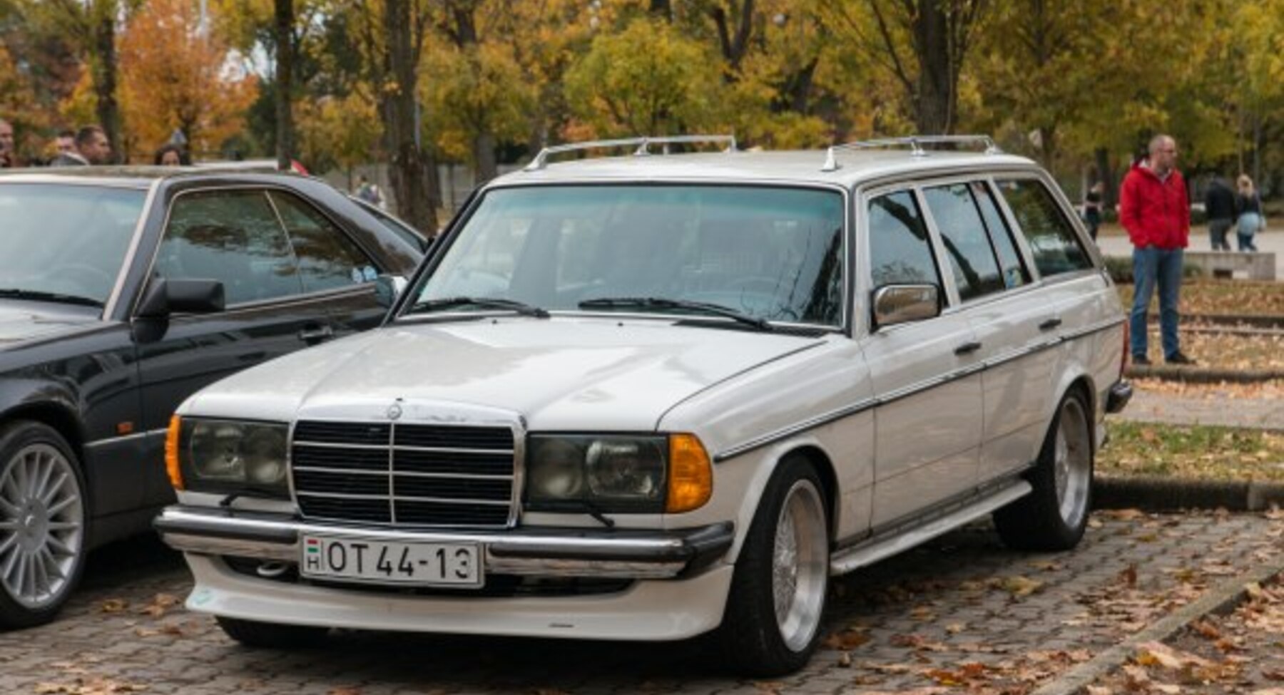 Mercedes-Benz S123 230 T (109 Hp) 1978, 1979, 1980 