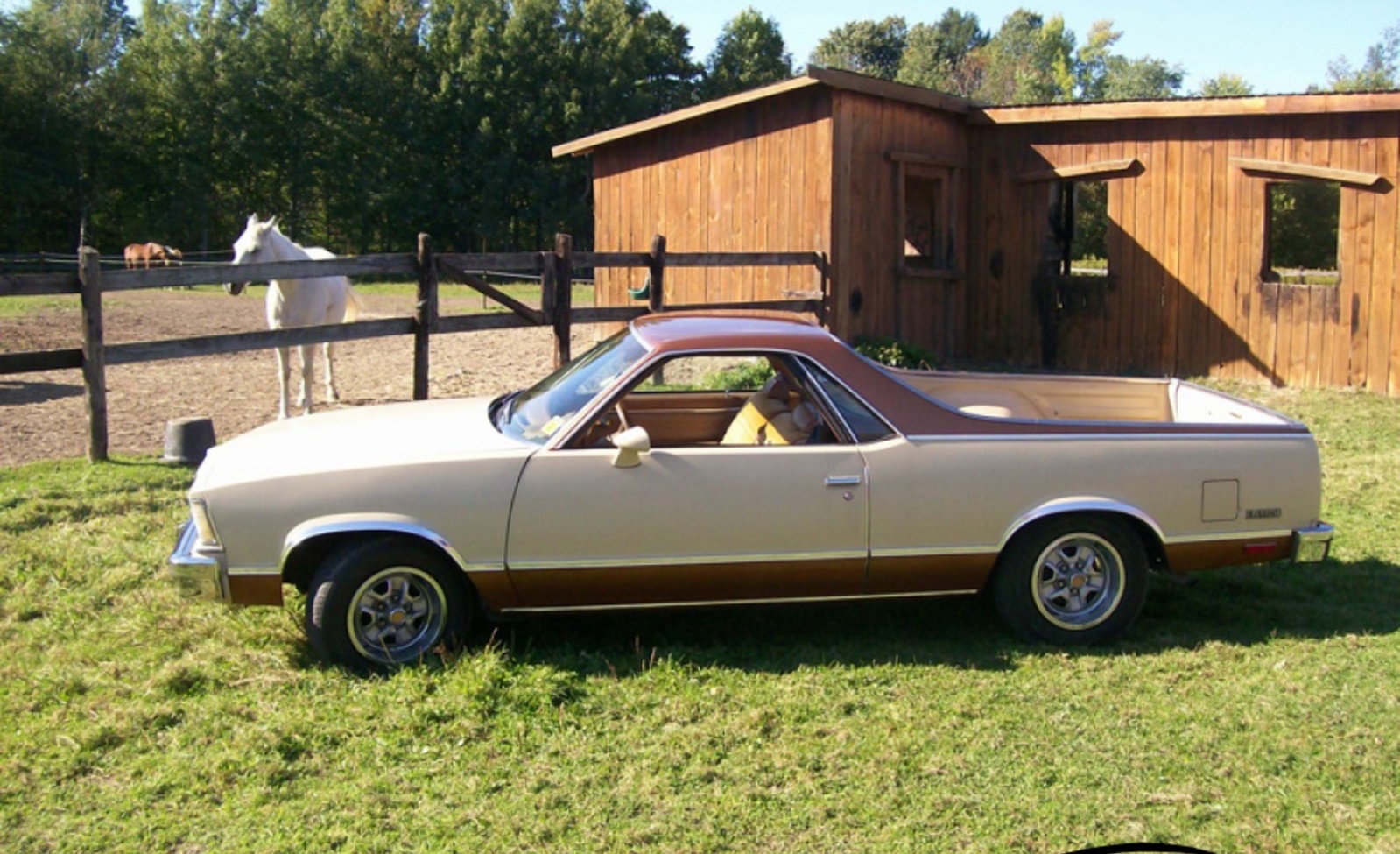 Chevrolet Malibu El Camino (Sedan Pickup) 3.8 V6 (115 Hp) CAT Automatic 1978, 1979 