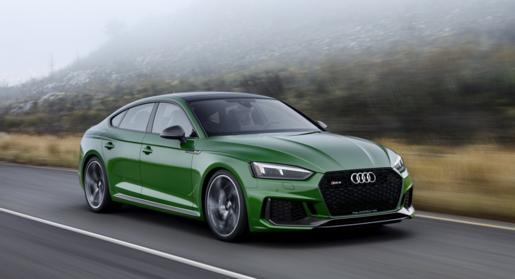 Audi RS 5 Sportback (F5) 2.9 TSFI V6 (450 Hp) quattro tiptronic 2019 