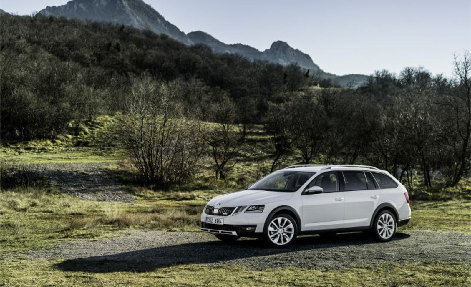 Skoda Octavia III Scout (facelift 2017) 2.0 TDI (150 Hp) 4x4 2017, 2018, 2019 