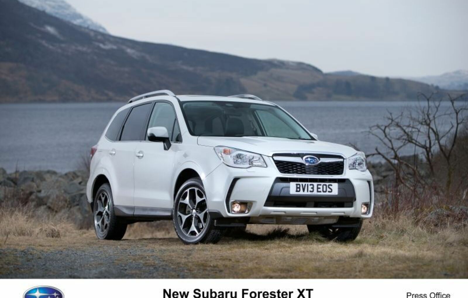 Subaru Forester IV (facelift 2016) Platinum 2.0i (150 Hp) AWD Lineartronic 2016, 2017, 2018 