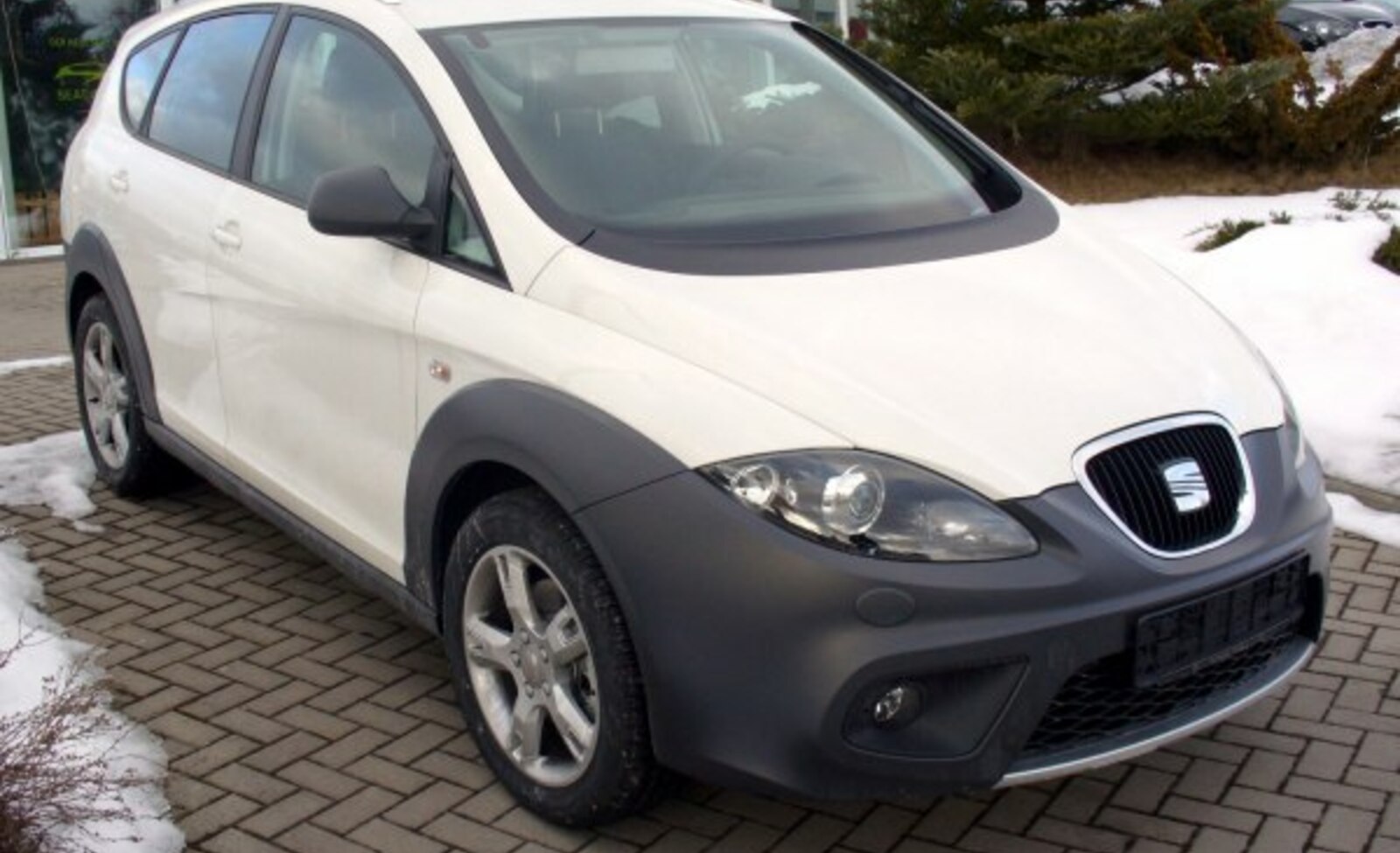 Seat Altea Freetrack (facelift 2009) 2.0 TDI (140 Hp) 4Drive 2010, 2011, 2012, 2013, 2014, 2015 