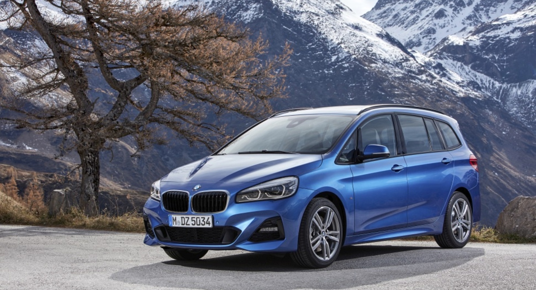 BMW 2 Series Gran Tourer (F46 LCI, facelift 2018) 218d (150 Hp) xDrive 2018, 2019, 2020, 2021 