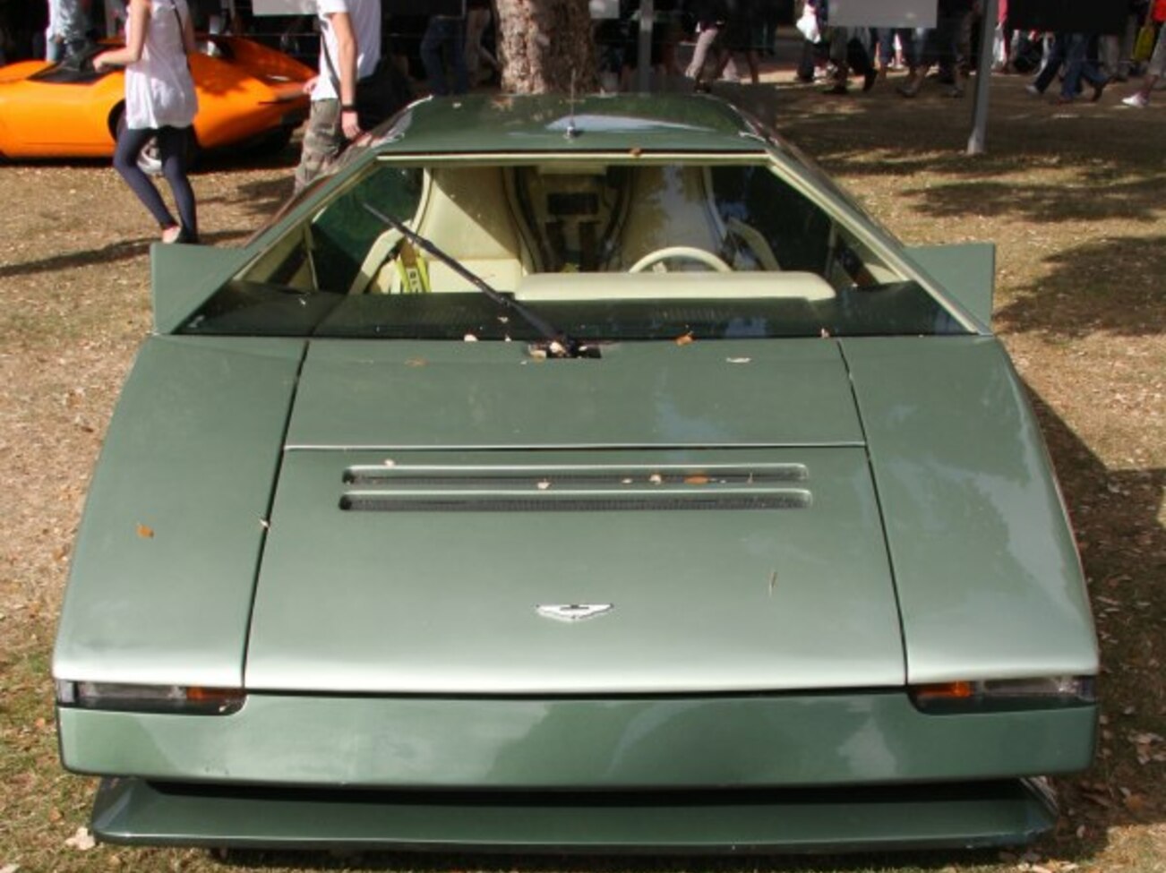 Aston Martin Bulldog 5.3 (600 Hp) 1980, 1981, 1982 