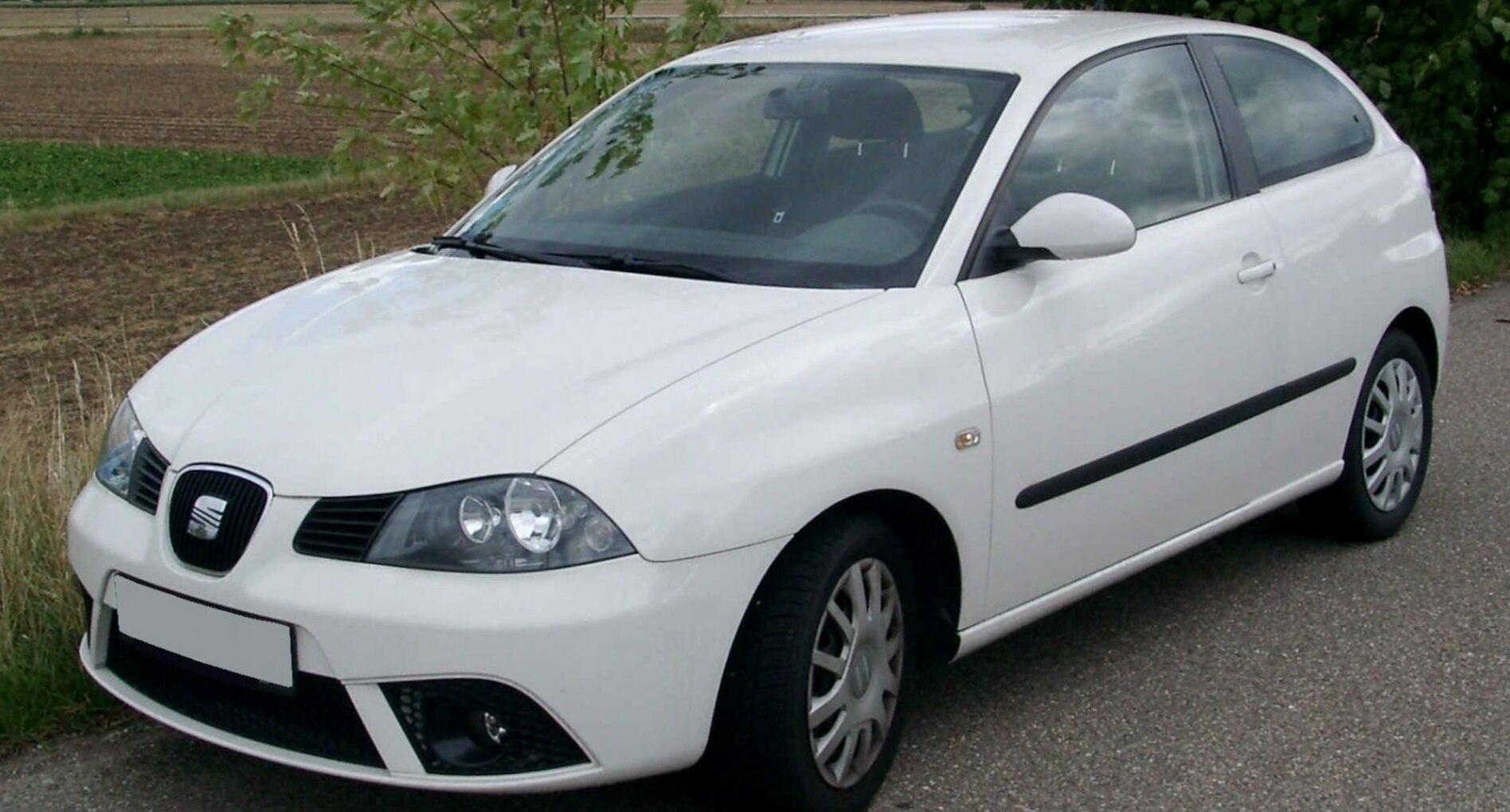 Seat Ibiza III (facelift 2006) Cupra 1.8 T (180 Hp) 2006, 2007, 2008 