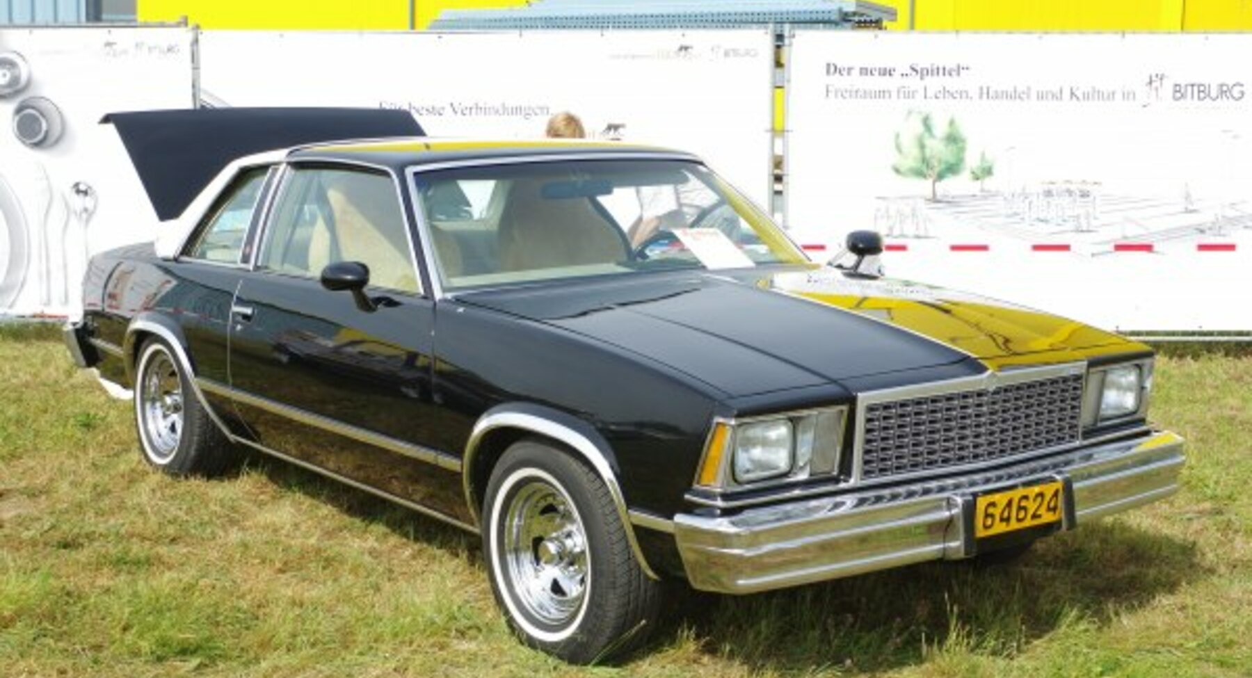 Chevrolet Malibu IV Sport Coupe 4.4 V8 (120 Hp) CAT Automatic 1979, 1980 