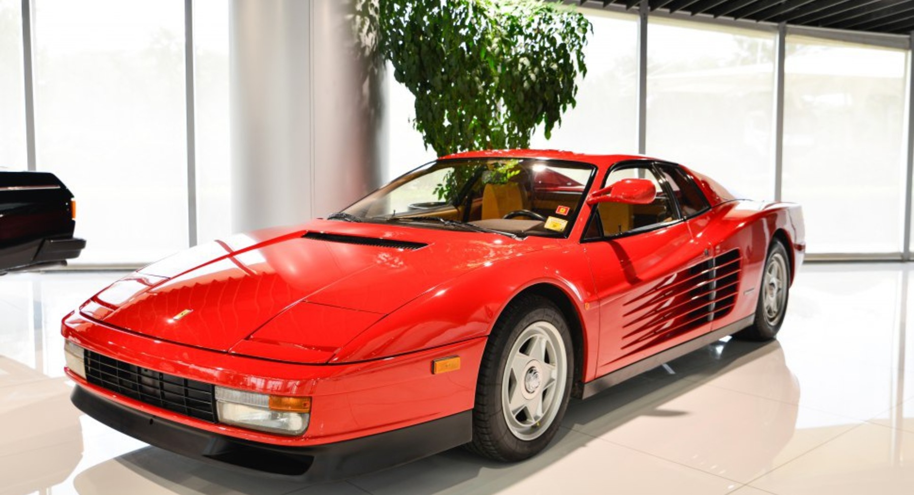 Ferrari Testarossa 4.9 i V12 48V (380 Hp) 1984, 1985, 1986, 1987, 1988, 1989, 1990, 1991, 1992 