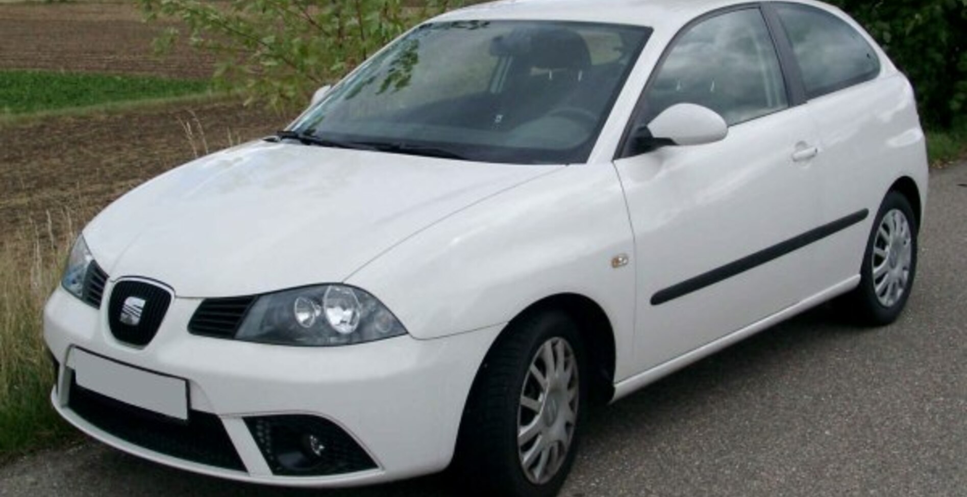 Seat Ibiza III (facelift 2006) 1.9 TDi (101 Hp) 2006, 2007, 2008