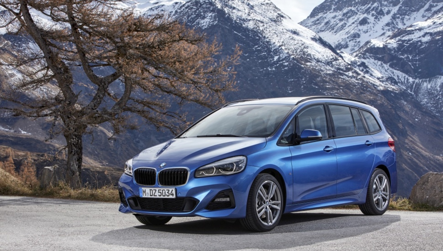 BMW 2 Series Gran Tourer (F46 LCI, facelift 2018) 218i (136 Hp) 2020, 2021, 2022 