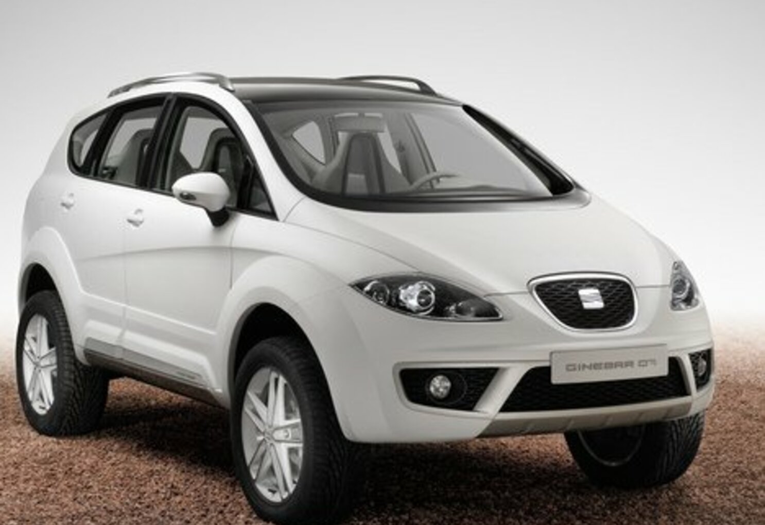 Seat Altea Freetrack 2.0 FSI (200 Hp) 4WD 2007, 2008, 2009 