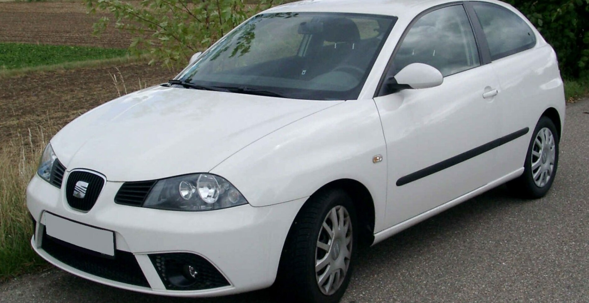 Seat Ibiza III (facelift 2006) FR 1.8T 20V (150 Hp) 2006, 2007, 2008